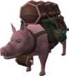 Seelen-Packschwein.png